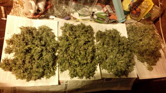 20220401_194227.jpg 20220401_194227.jpg