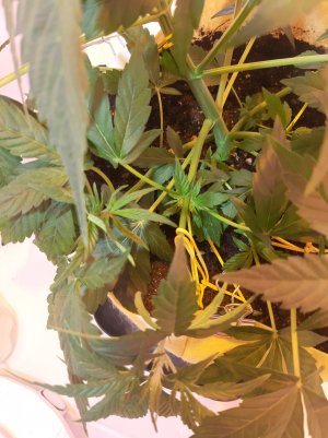 20220401_195702.jpg 20220401_195702.jpg