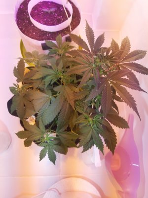 20220401_195630.jpg 20220401_195630.jpg