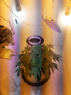 20220401_195734.jpg 20220401_195734.jpg