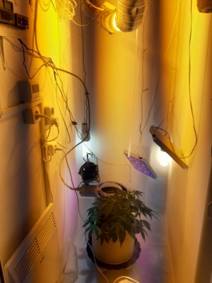 20220401_195750.jpg 20220401_195750.jpg