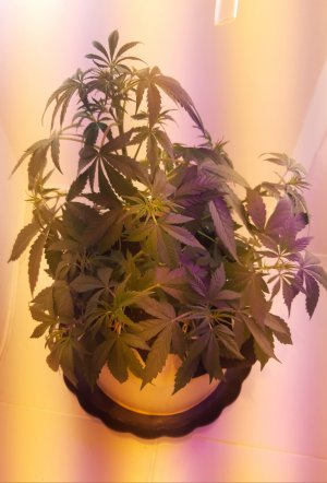 20220402_210136.jpg 20220402_210136.jpg