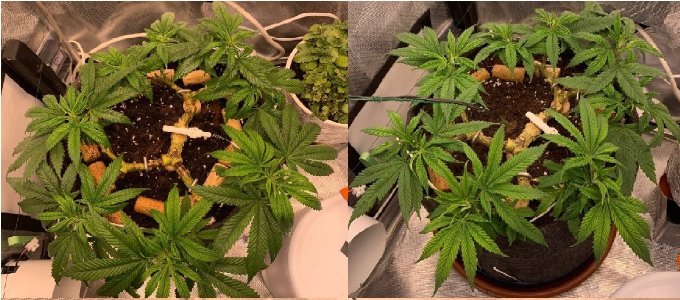 24.03-25.03.jpg 24.03-25.03.jpg