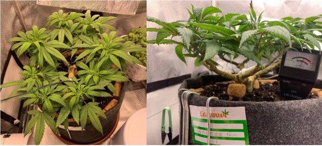 30.03 3.jpg 30.03 3.jpg