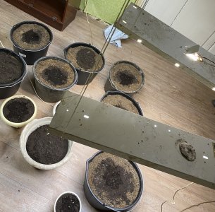 9A05D663-BBC7-4369-94E1-A77DF04B5C8C.jpeg 9A05D663-BBC7-4369-94E1-A77DF04B5C8C.jpeg