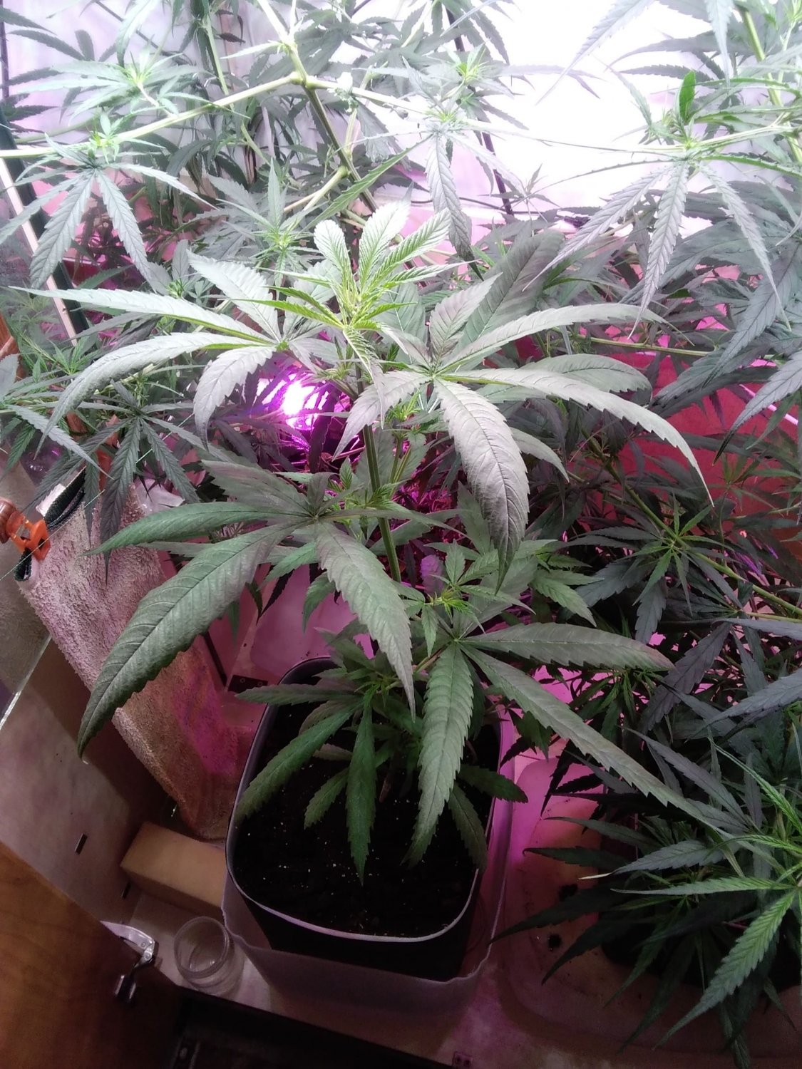 IMG_20220331_152307.jpg IMG_20220331_152307.jpg