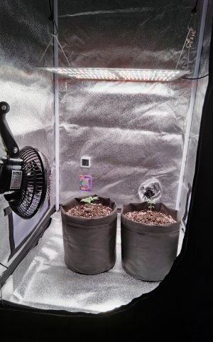 общий план.jpg