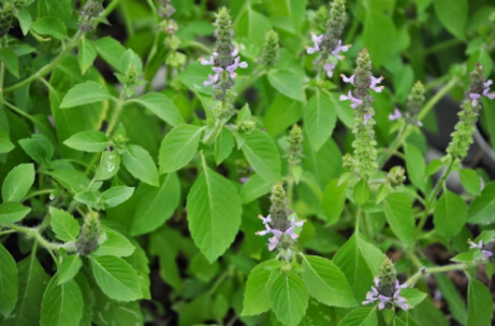 1731407561705.png 1731407561705.png