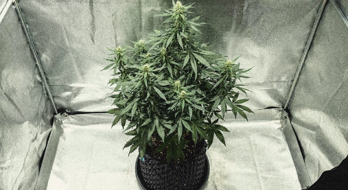 1731515873775.png 1731515873775.png