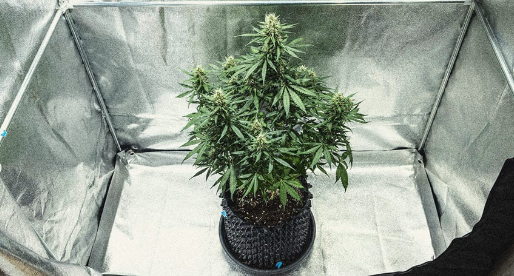 1731515898817.png 1731515898817.png