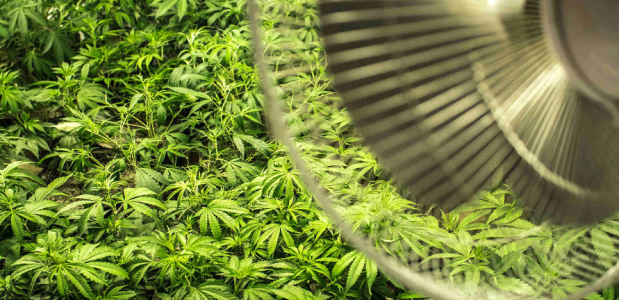 1731530696577.png 1731530696577.png