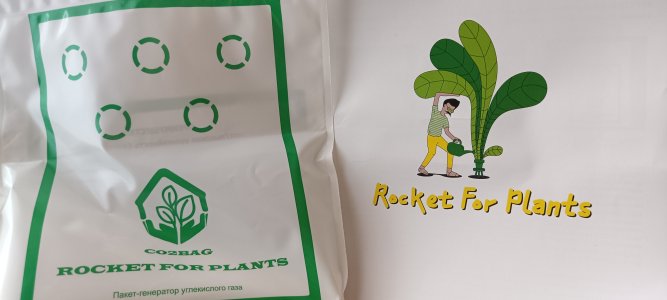 IMG_20241116_134832.jpg IMG_20241116_134832.jpg