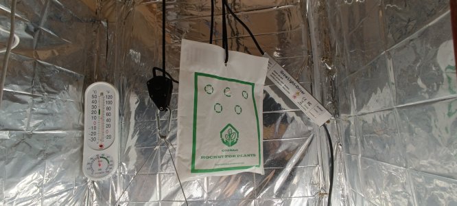 IMG_20241124_221110.jpg IMG_20241124_221110.jpg