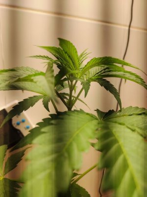 photo_2024-11-25_12-06-47 (3).jpg