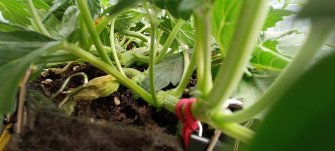 IMG_20241127_171305.jpg IMG_20241127_171305.jpg