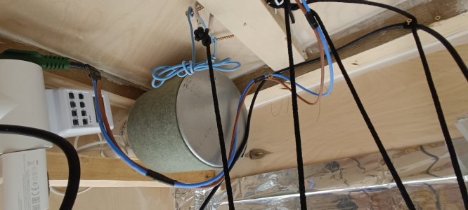 IMG_20241130_112714.jpg IMG_20241130_112714.jpg