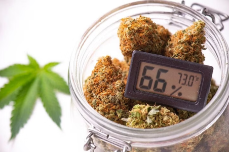 1733264449492.png 1733264449492.png