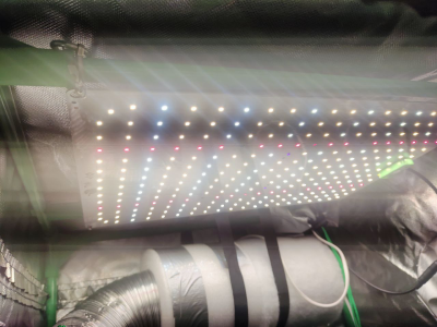 1733658899230.png 1733658899230.png