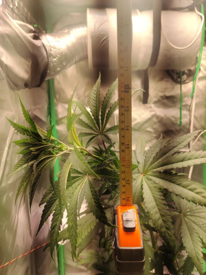 1733672381176.png 1733672381176.png