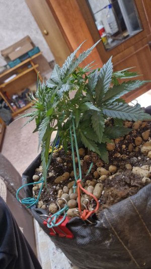 20241208_143148 (1).jpg