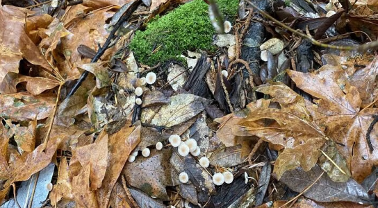 1736266040106.png 1736266040106.png