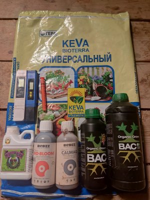 IMG_20250112_050145.jpg IMG_20250112_050145.jpg