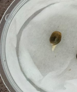 Изображение WhatsApp 2025-01-14 в 18.32.01_b1951f65.jpg