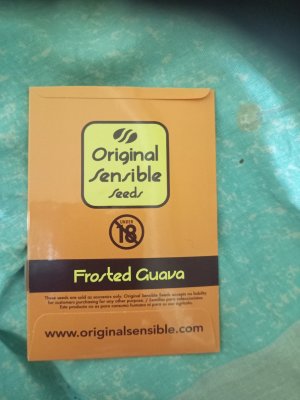 IMG_20250114_193353_971.jpg IMG_20250114_193353_971.jpg