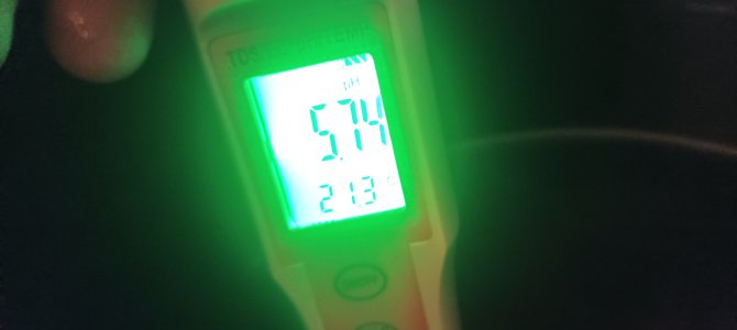 IMG_20250116_015954.jpg IMG_20250116_015954.jpg