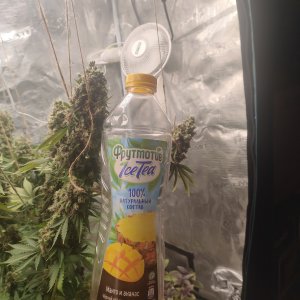 1000012068.jpg 1000012068.jpg