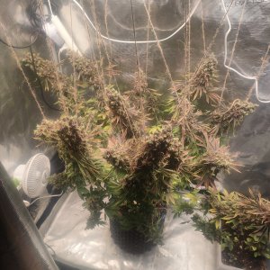 1000012329.jpg 1000012329.jpg