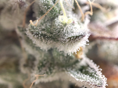 1738944155708.png 1738944155708.png