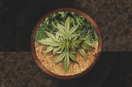 1739295689339.png 1739295689339.png