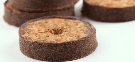 1739295758571.png 1739295758571.png