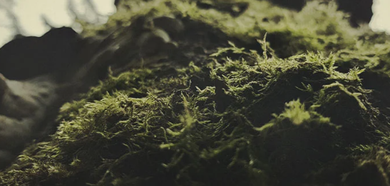 1739295806768.png 1739295806768.png