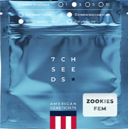 1740569456909.png 1740569456909.png