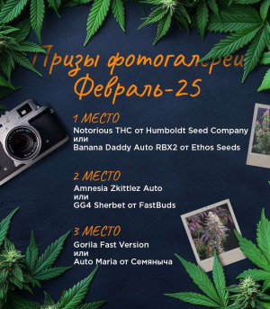 1740643876801.png 1740643876801.png