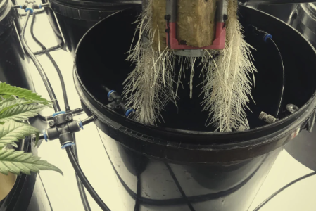 1741014896116.png 1741014896116.png