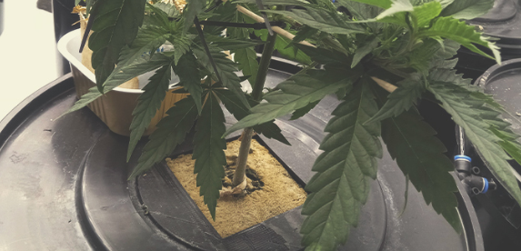 1741015040868.png 1741015040868.png