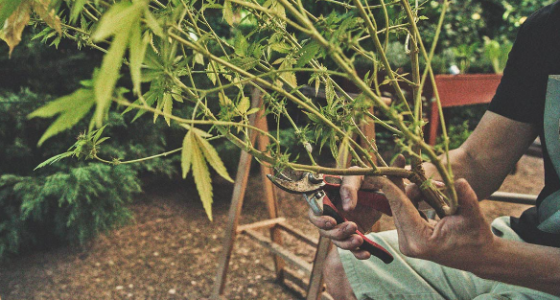 1741244832168.png 1741244832168.png