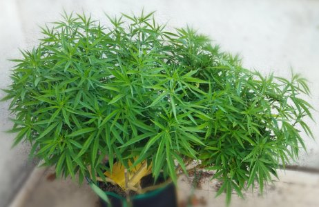 11111111.jpg 11111111.jpg