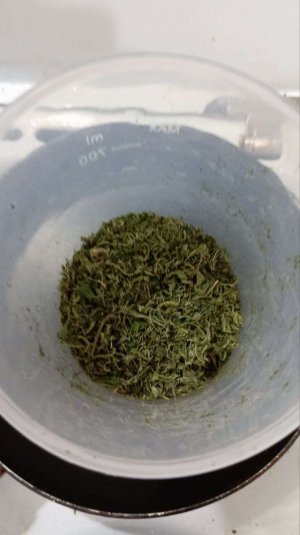 photo_2025-03-03_01-40-35.jpg photo_2025-03-03_01-40-35.jpg