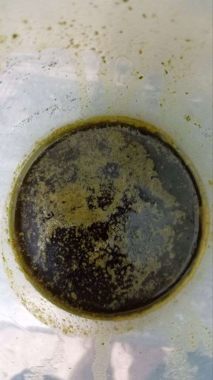 photo_2025-03-03_01-40-45.jpg photo_2025-03-03_01-40-45.jpg