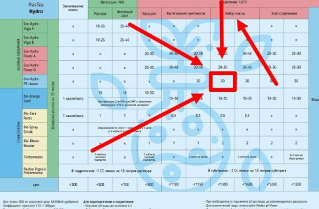 Скриншот 13-03-2025 190041.jpg