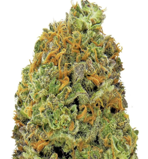 1742125127429.png 1742125127429.png