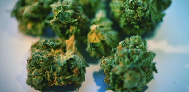 1742315571577.png 1742315571577.png