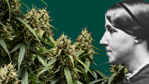 1742316785711.png 1742316785711.png