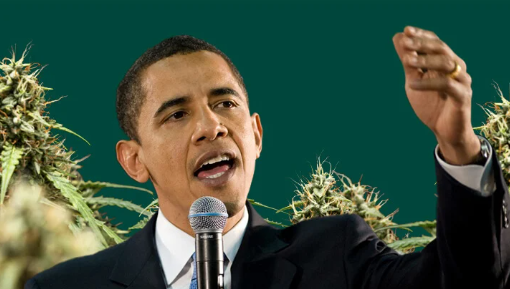 1742316865444.png 1742316865444.png