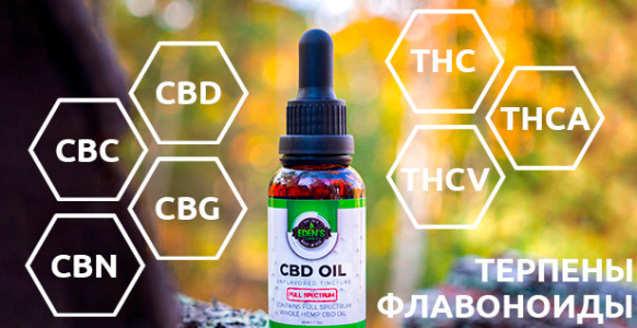 1742374430479.png 1742374430479.png