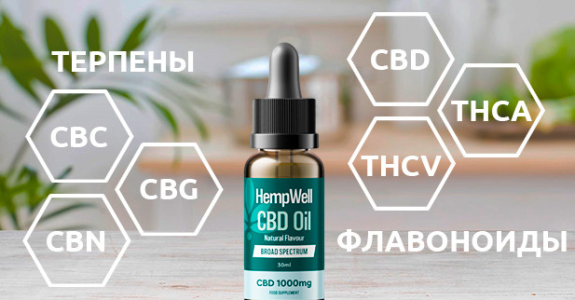 1742374459748.png 1742374459748.png